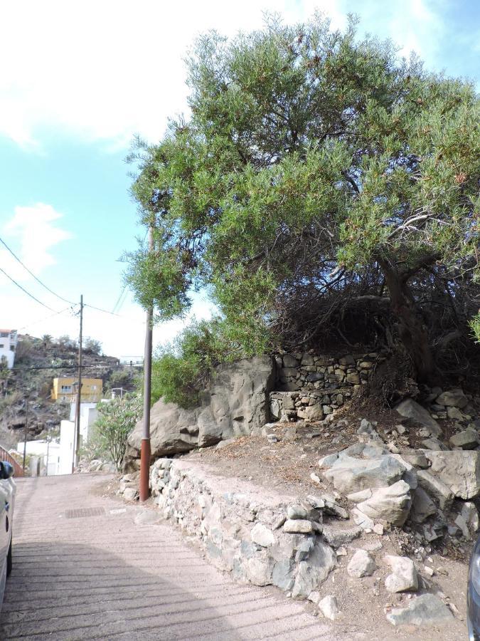 Casa Lilia, En Taganana Villa Santa Cruz de Tenerife Eksteriør bilde